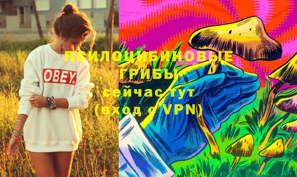 гашик Абдулино