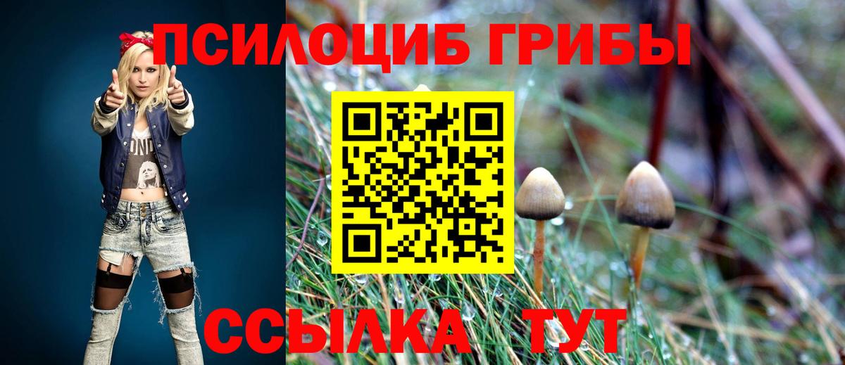 Псилоцибиновые грибы прущие грибы  Галлюциногенные грибы ЛСД  Карасук  Вход с VPN 