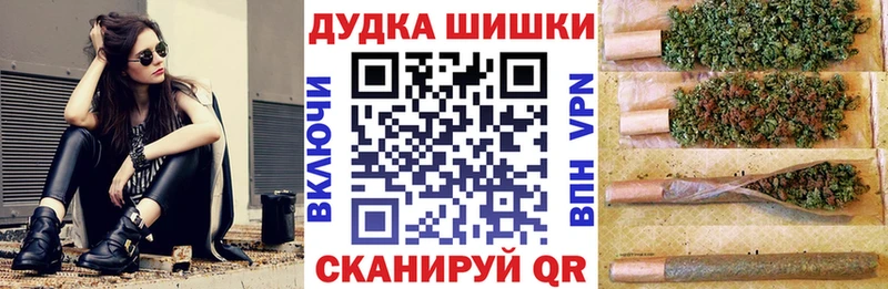 Канабис ГИДРОПОН  магазин продажи наркотиков  Карасук 